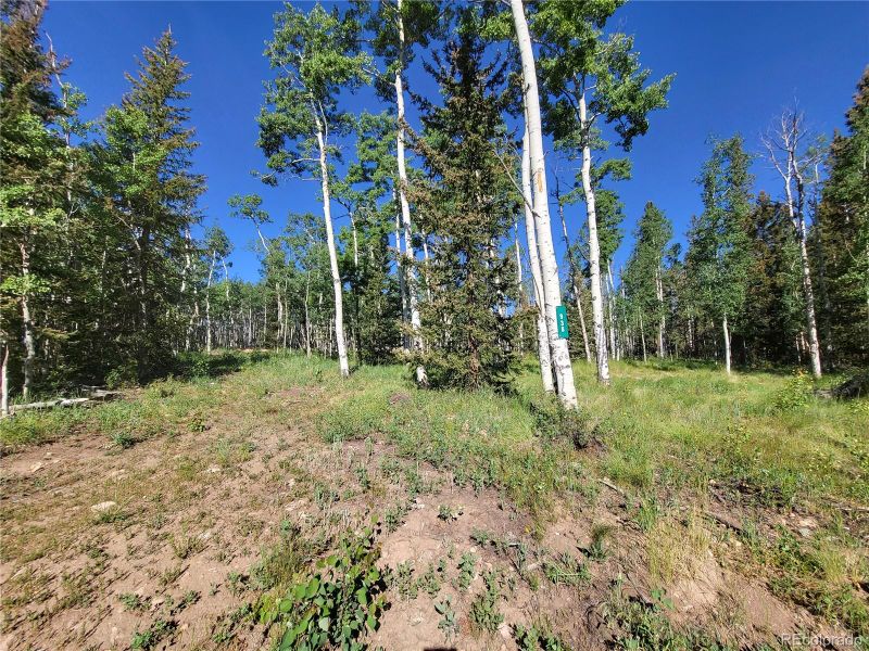 938 Georgia Pass Lookout, Jefferson, CO 80456