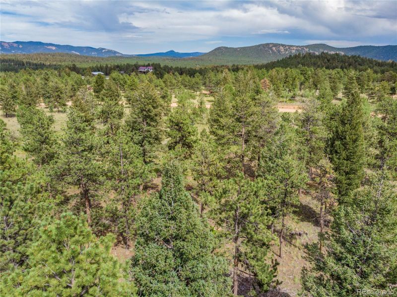 1474 Tapadero Rd, Bailey, CO 80421