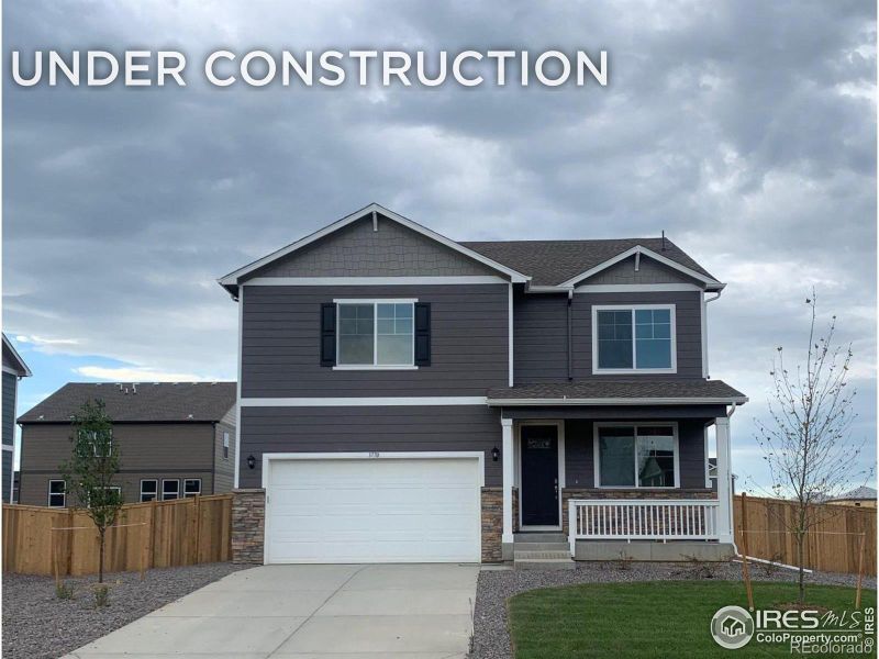 3770 Catmint St, Wellington, CO 80549
