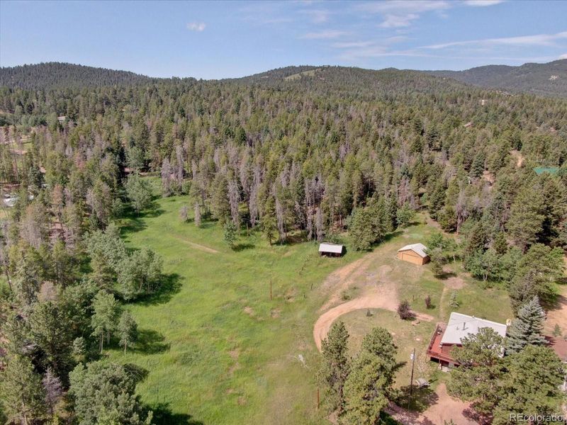 26944 Rascal Ln, Conifer, CO 80433