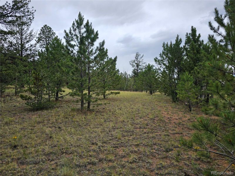 Huerfano Dr, Hartsel, CO 80449
