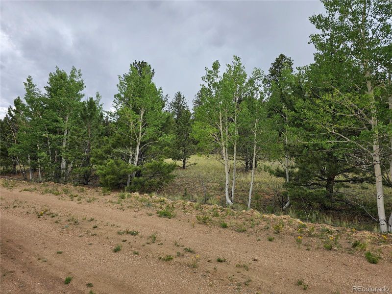 Huerfano Dr, Hartsel, CO 80449