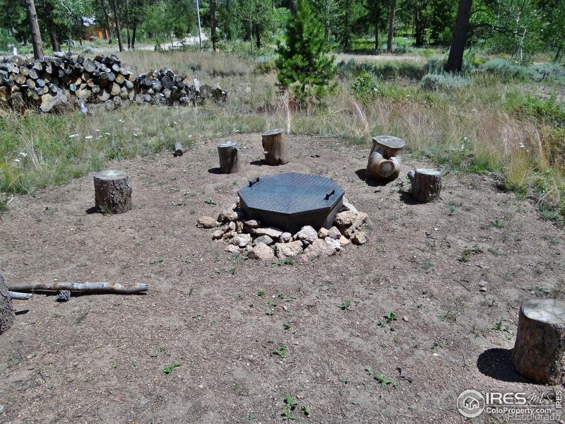 1052 Nowata Dr, Red Feather Lakes, CO 80545