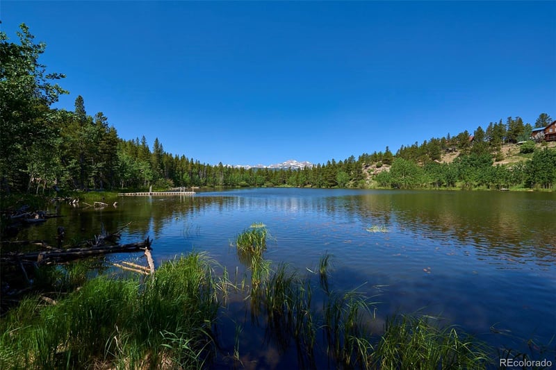 0 Pine Cone Cir Ct, Ward, CO 80481