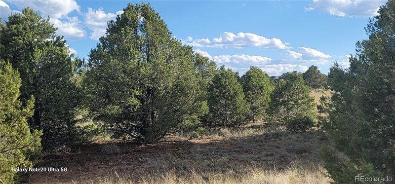 0 Navajo, Walsenburg, CO 81089