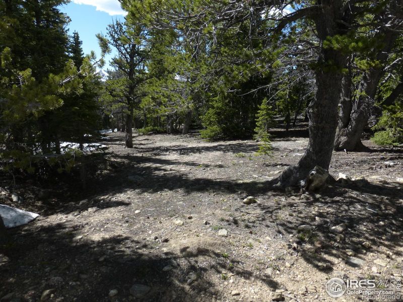 1000 American City Rd, Black Hawk, CO 80422