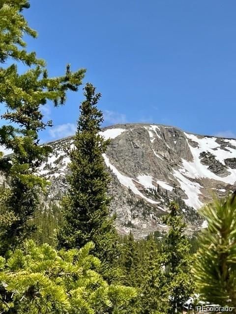 000 Brook Dr, Idaho Springs, CO 80452