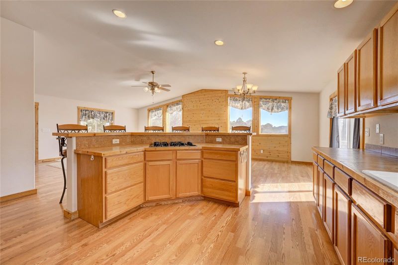 724 N Dory Lakes Dr, Black Hawk, CO 80422
