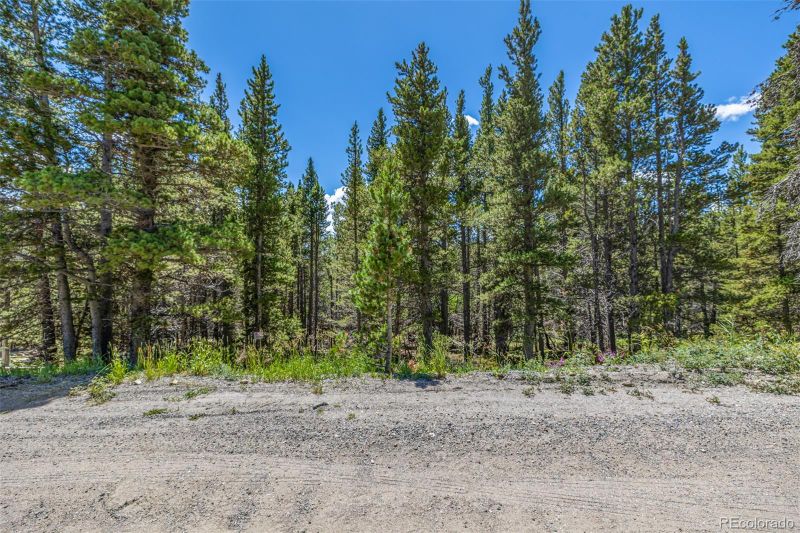 Lot 652 Alice Rd Lot 652, Idaho Springs, CO 80452