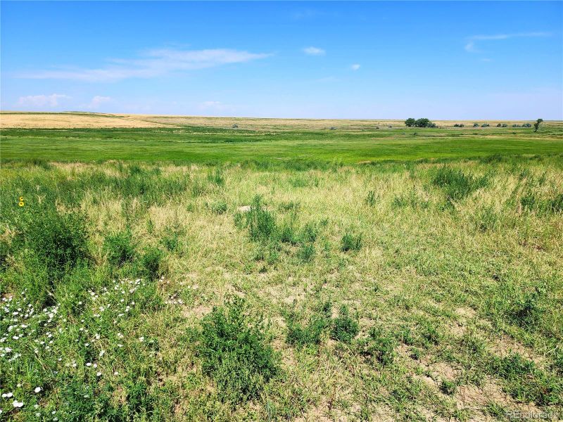 Strasburg Rd, Strasburg, CO 80136