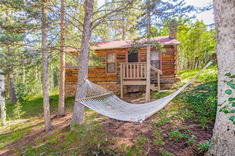112 Usfs 383, Divide, CO 80814