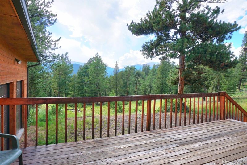 1533 Hitchrack Rd, Bailey, CO 80421