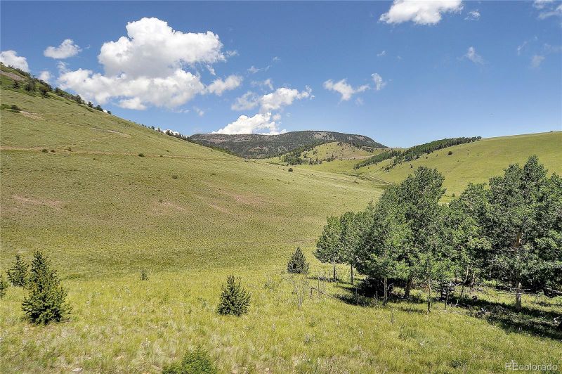 1194 Nesterville Rd, Cotopaxi, CO 81223
