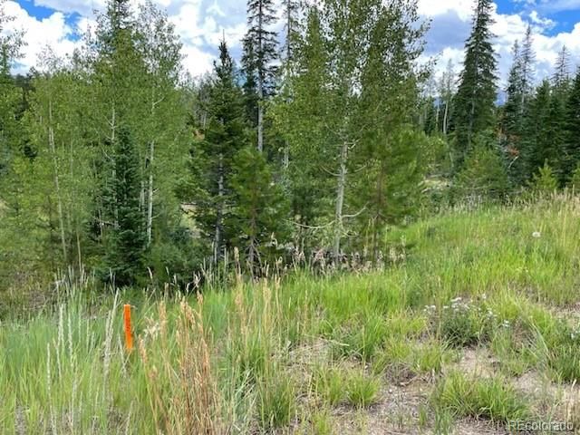 776 Leland Creek Cir Lot 6, Winter Park, CO 80482
