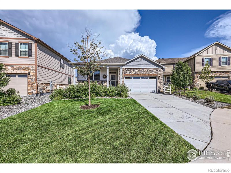 6058 Sun Mesa Cir, Castle Rock, CO 80104