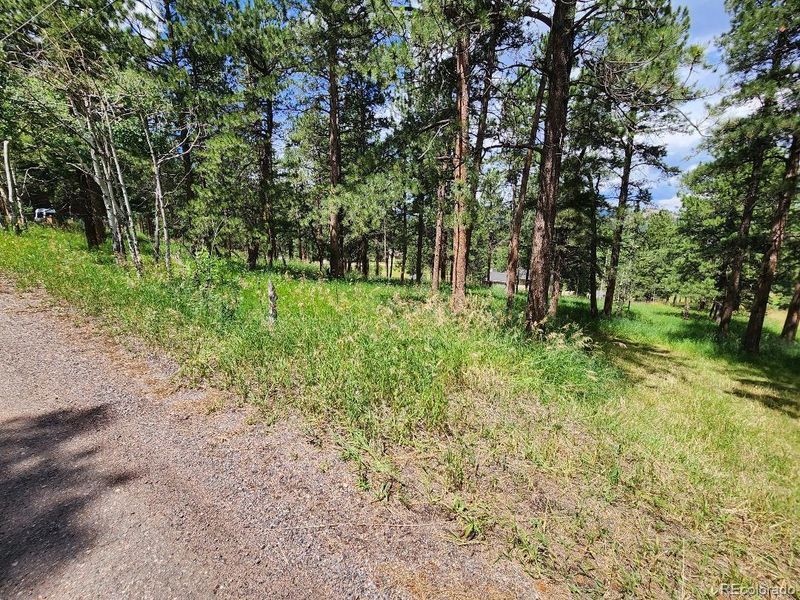 000 Dorothy Rd, Evergreen, CO 80439