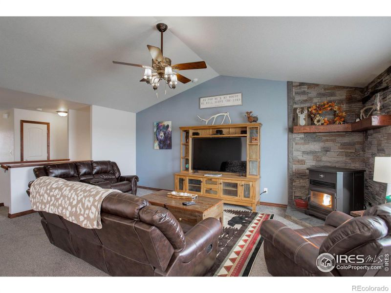 6900 Sumner St, Wellington, CO 80549