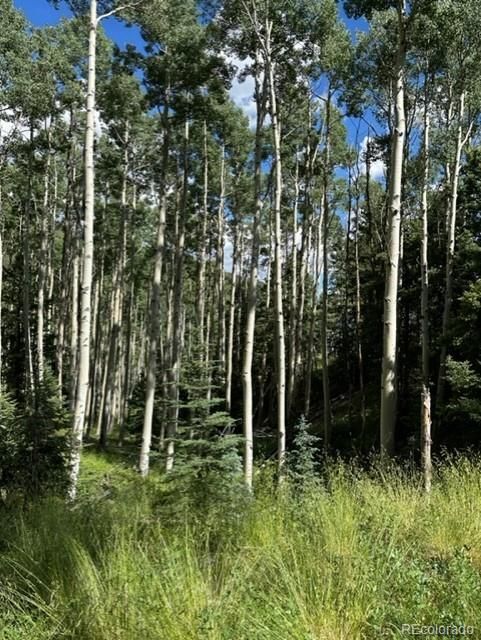 Tbd, Jasper, CO 81132