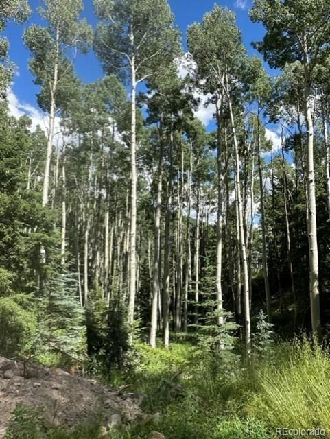 Tbd, Jasper, CO 81132