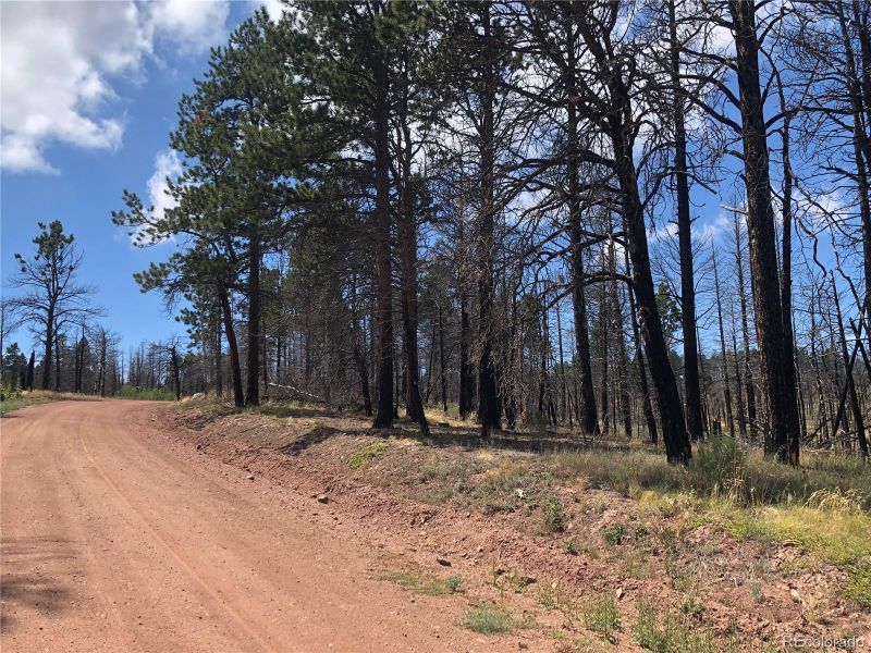 00 Richard Rd, Fort Garland, CO 81133