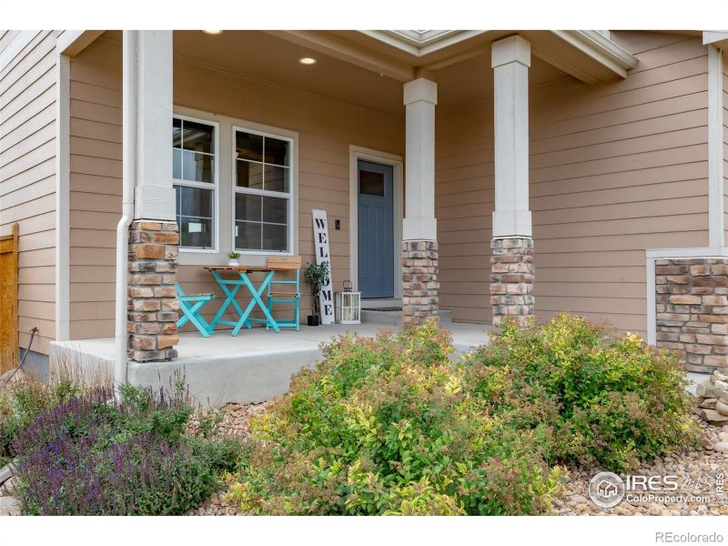1559 Sierra Plaza St, Severance, CO 80550