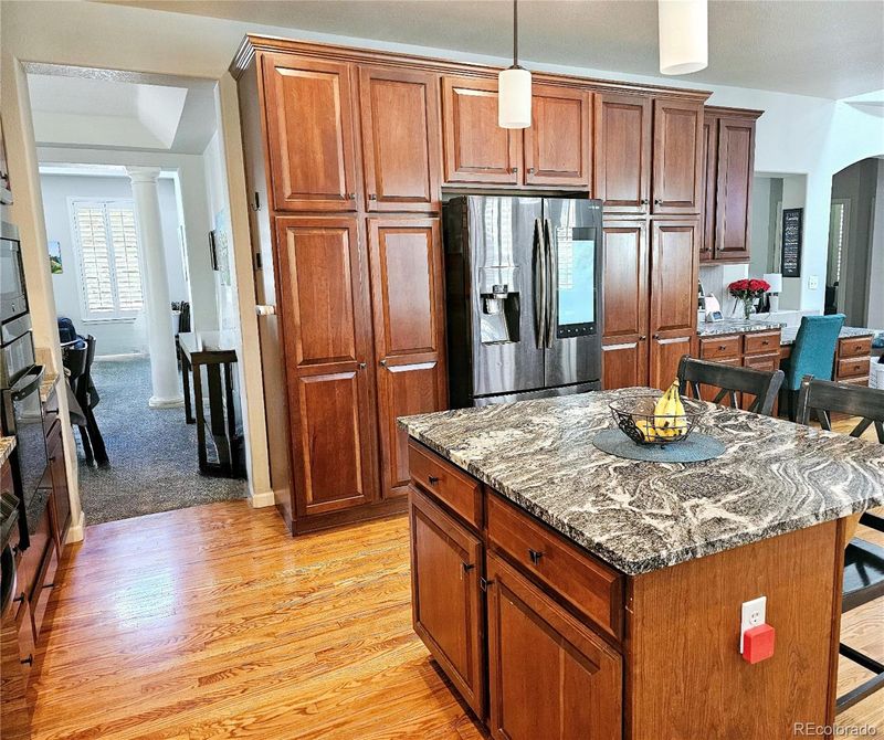 10097 Mockingbird Ln, Highlands Ranch, CO 80129