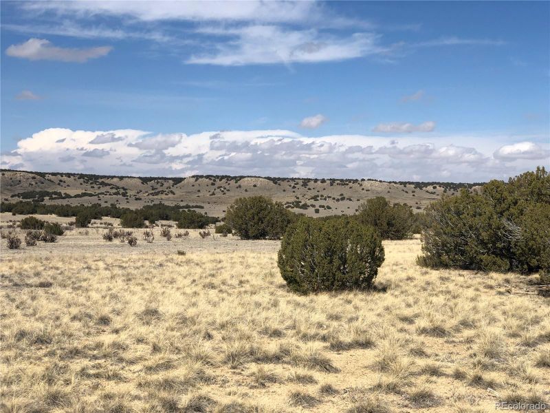 lots 4-5 Longhorn Ranch Lot 4&5, Model, CO 81059