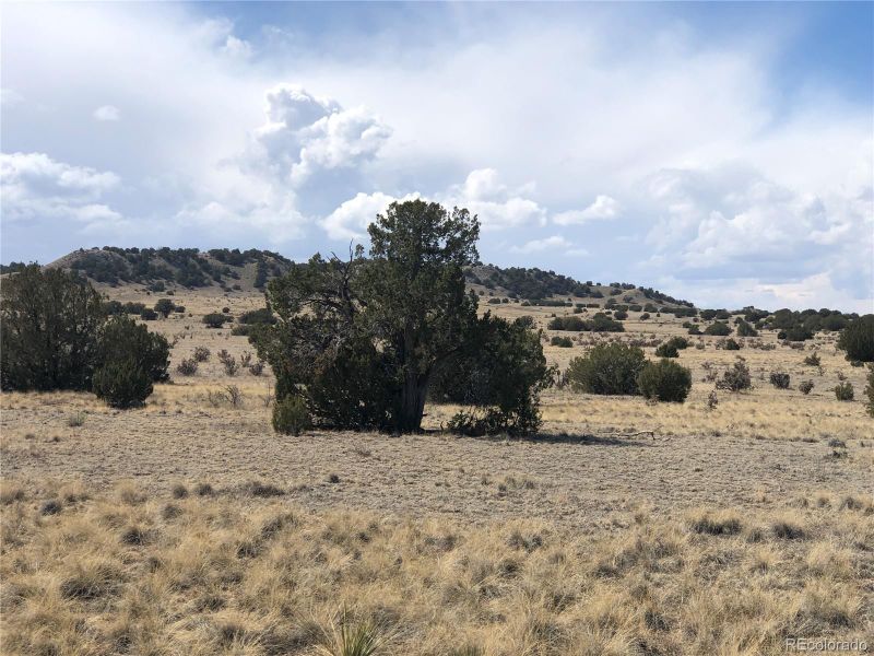 lots 4-5 Longhorn Ranch Lot 4&5, Model, CO 81059