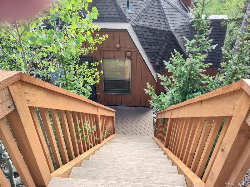 356 Mine Dump Rd, Alma, CO 80420