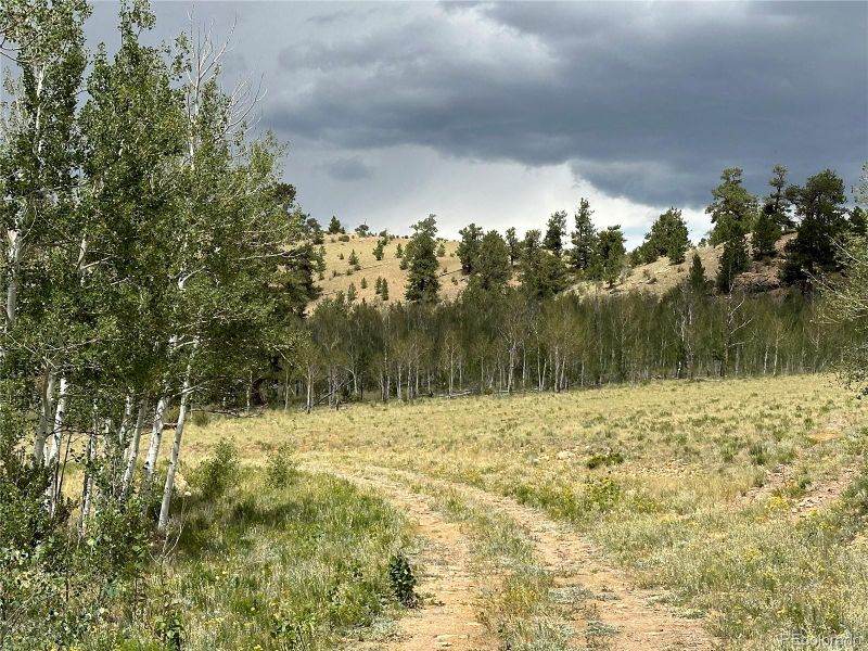Uintah Trl, Hartsel, CO 80449