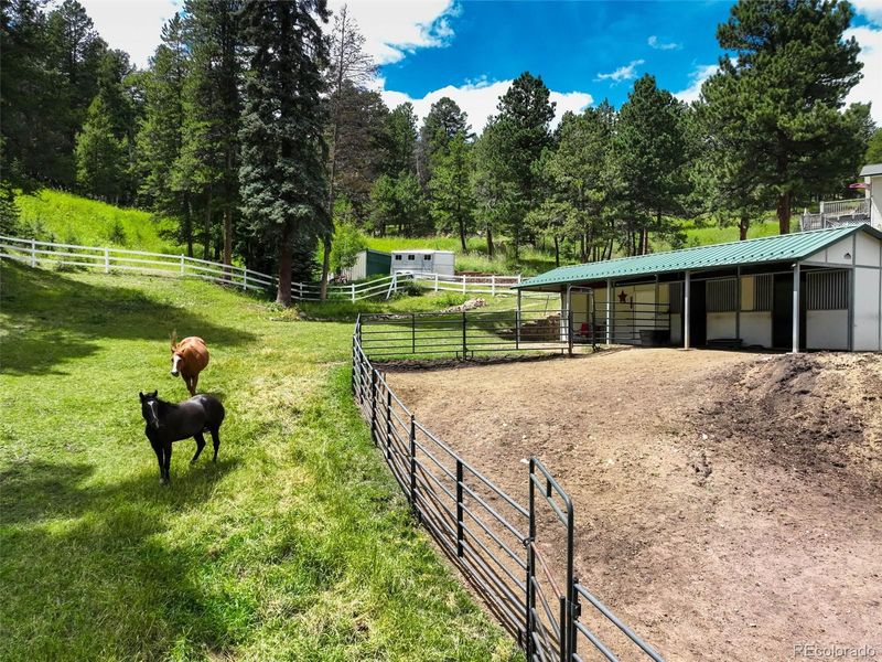 12079 Tecumseh Trl, Conifer, CO 80433