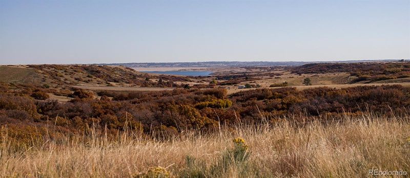 13495 Gandy Dancer Way, Parker, CO 80134