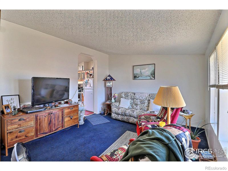312 S 3rd Ave, Ault, CO 80610