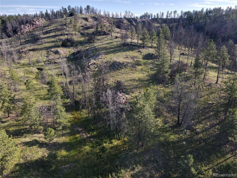 62 Chaparral Trl, Florissant, CO 80816