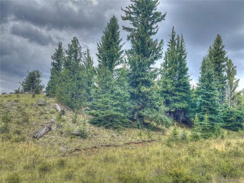 1530 Breton Cir, Como, CO 80432