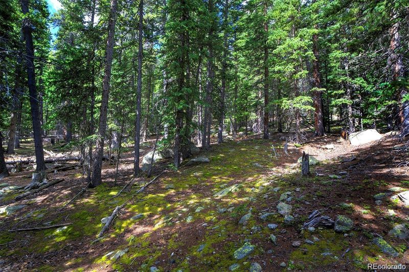 1190 Squaw Mtn Trl, Idaho Springs, CO 80452