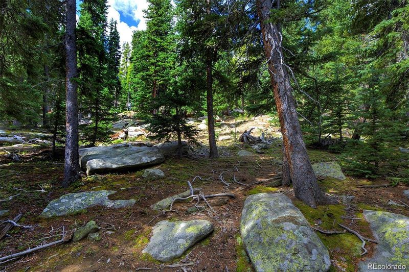 1190 Squaw Mtn Trl, Idaho Springs, CO 80452