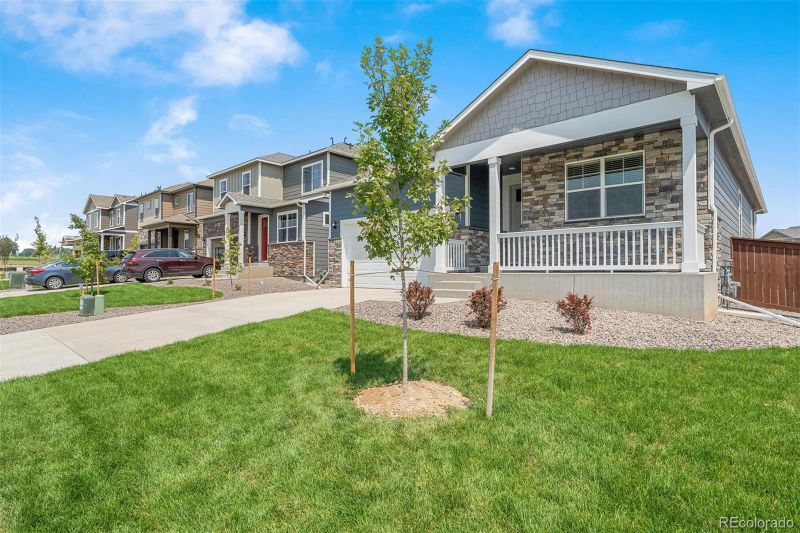 730 N Allium St, Watkins, CO 80137