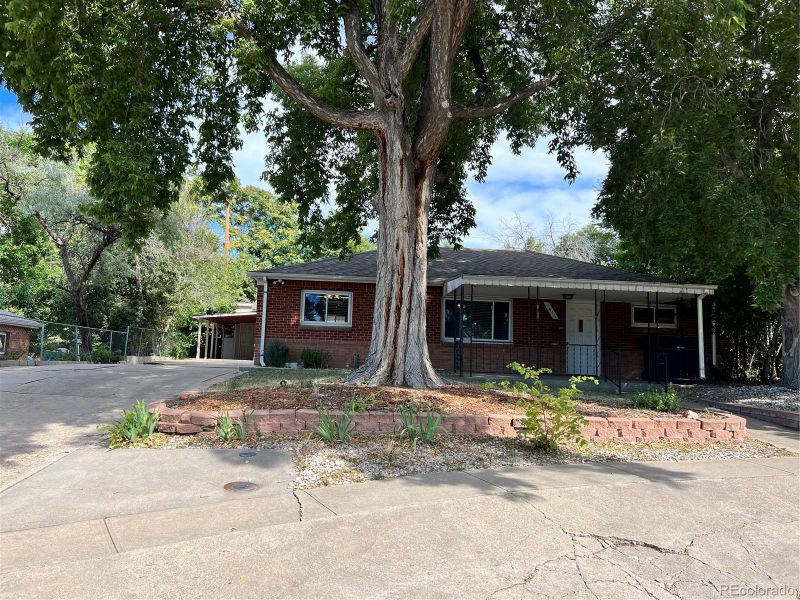 1411 Elm Pl, Thornton, CO 80229
