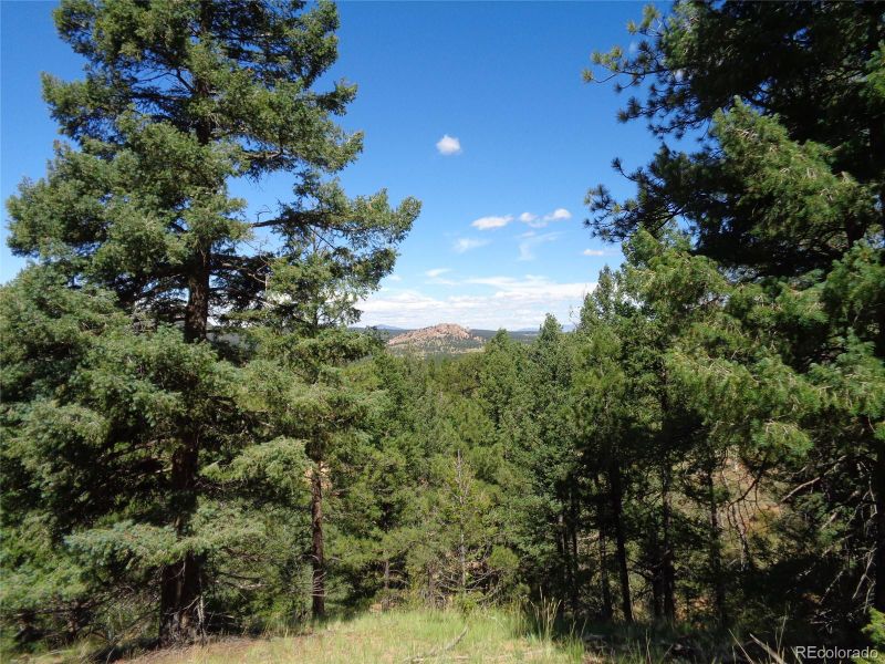 186 Alpine Dr Lot 16, Cripple Creek, CO 80814