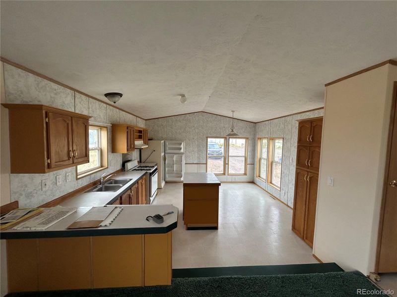 6 Alcedo Ct, Crestone, CO 81131