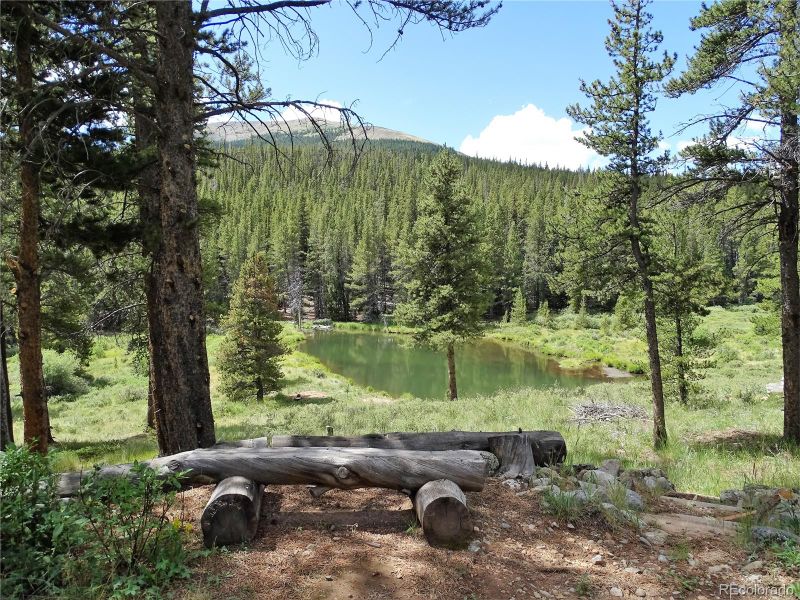 765 Co Road 50, Como, CO 80432