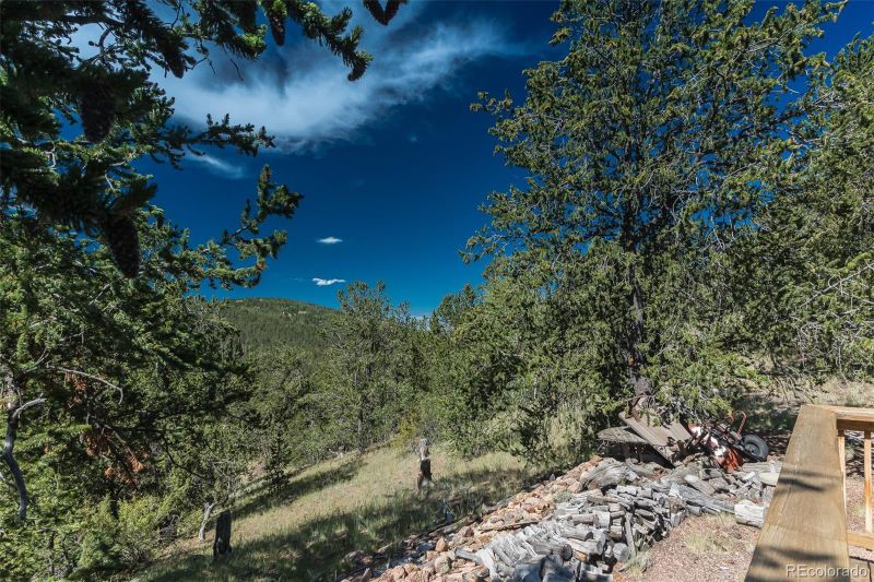 Unknown Name, Cripple Creek, CO 80813