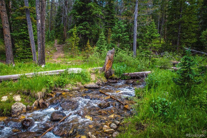 5810 Barton Rd, Breckenridge, CO 80424