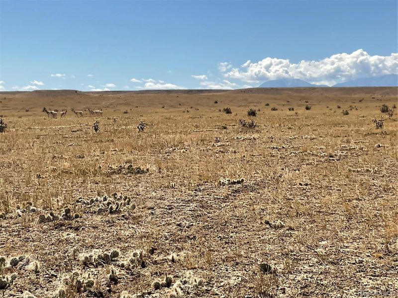 Lot 54 Colorado Buffalo Ranch, Walsenburg, CO 81055