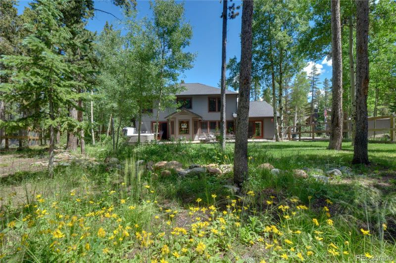 69 American Way, Breckenridge, CO 80424