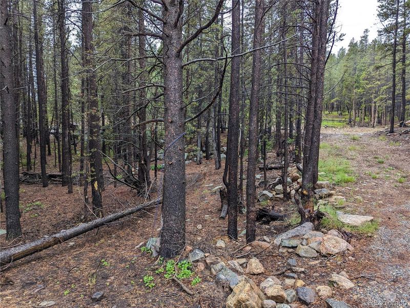 0 Silver Creek Rd, Idaho Springs, CO 80452