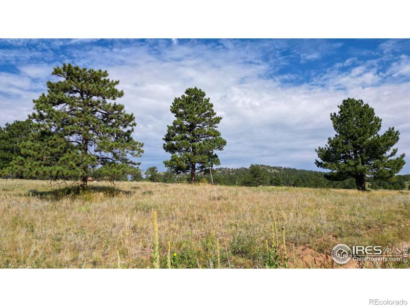 N Cucharas Mt Ct, Livermore, CO 80536