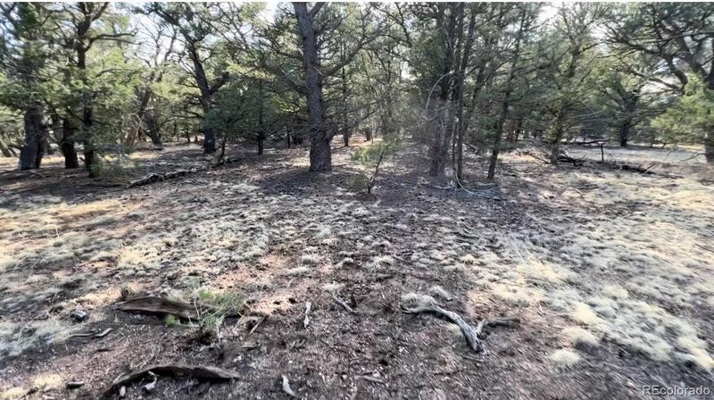 Tbd, Cotopaxi, CO 81223