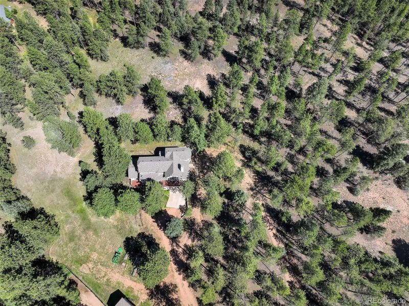 20005 Spring Creek Rd, Buffalo Creek, CO 80425